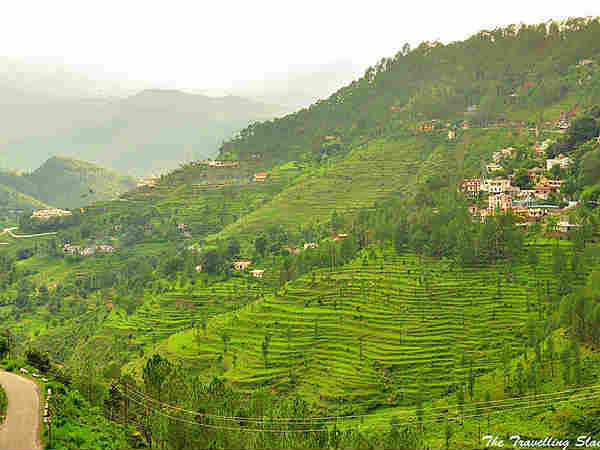 Kasar Devi Temple and Bright End Corner in Almora