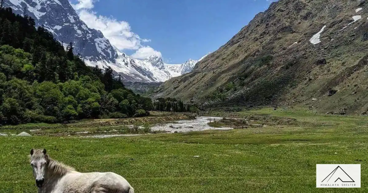 Trek from Seema to Har Ki Dun Valley