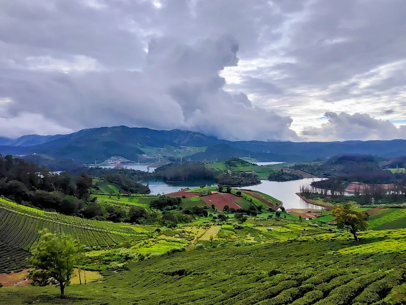 Lake view