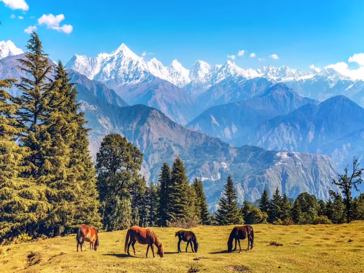 Arrival in Pithoragarh on the far Kumaon road